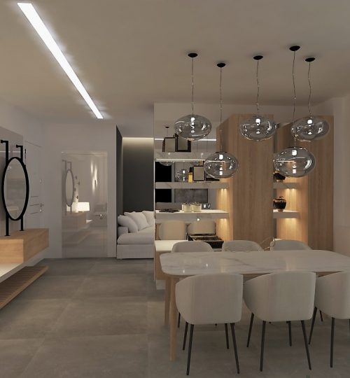 appartment-nea-salamina-3D-01